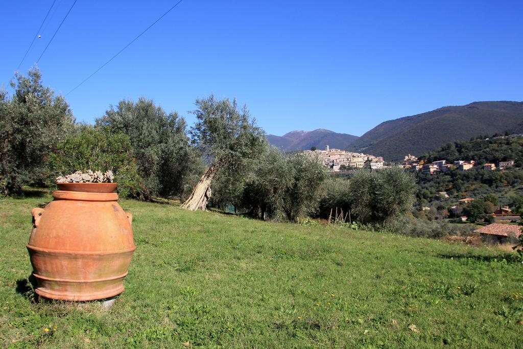 B&B Colle Perrini Country House Casperia 外观 照片