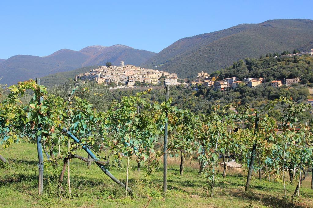 B&B Colle Perrini Country House Casperia 外观 照片