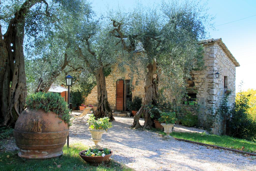 B&B Colle Perrini Country House Casperia 外观 照片